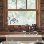 Quali sono le piante migliori da innaffiare in casa?