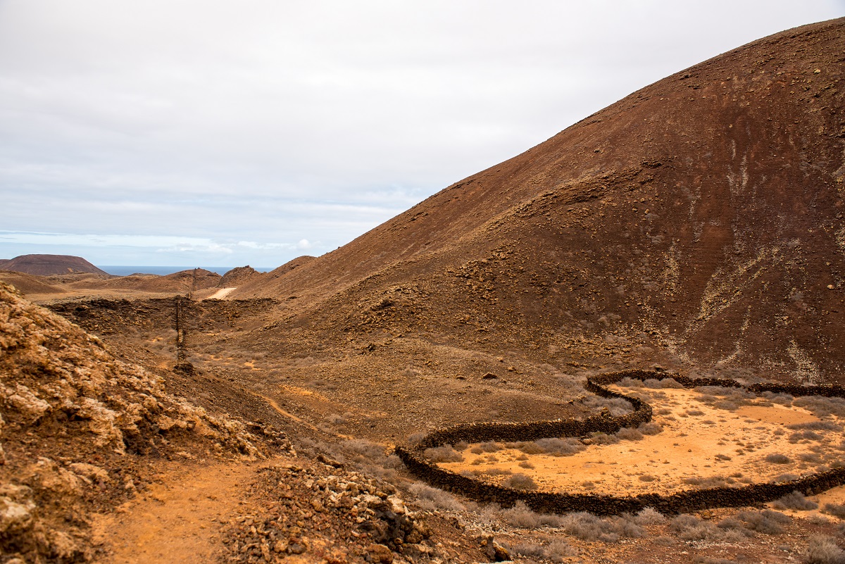 canarie